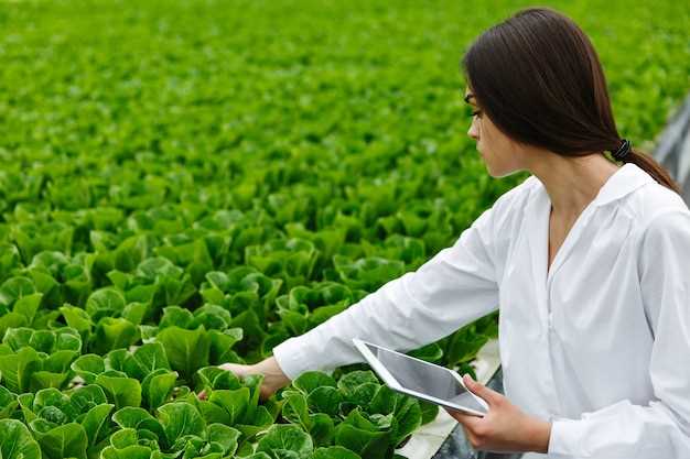 Agricultura de Precisión para un Futuro Sostenible en la Producción de Alimentos