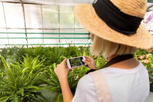 Agricultura de Precisión para un Futuro Sostenible en la Producción de Alimentos