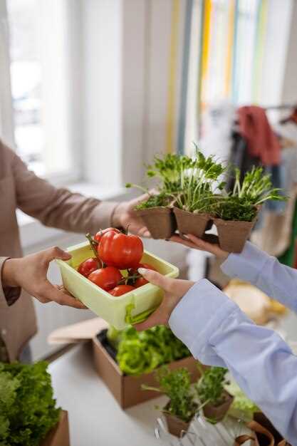 Cómo Implementar Prácticas Sostenibles en la Cadena de Suministro Alimentario