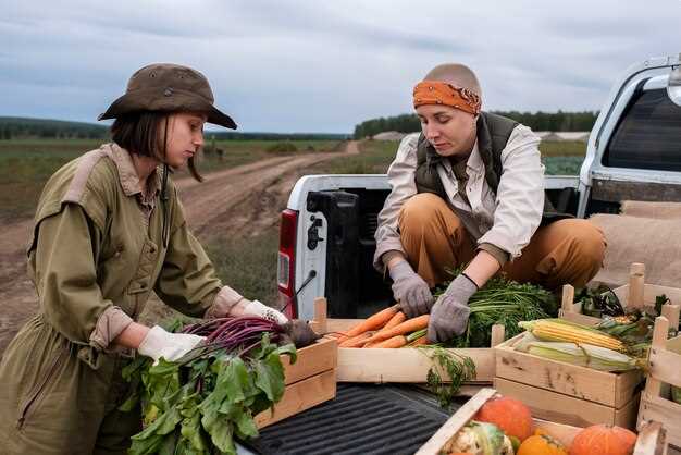 Cómo Implementar Prácticas Sostenibles en la Cadena de Suministro Alimentario