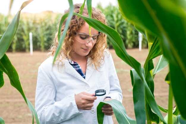 La Importancia de la Investigación y el Desarrollo en la Industria Alimentaria